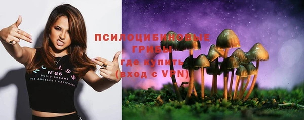 не бодяженный Арсеньев