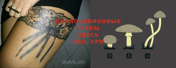 не бодяженный Арсеньев