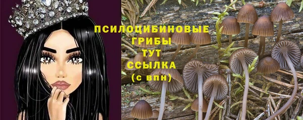 винт Вязники