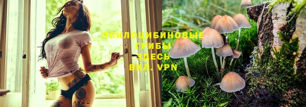 не бодяженный Арсеньев